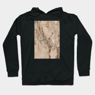 Beach side intimate rock texture Hoodie